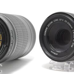 望遠レンズ動作良好Canon EF-S 55-250mm IS STM (minato) 名古屋