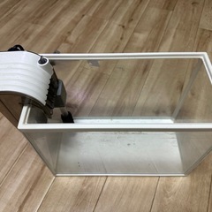 小型水槽セットの画像