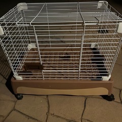 犬小屋 早いもの勝ちです！