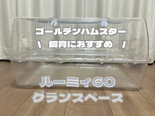 【中古】ルーミィ60グランスペース