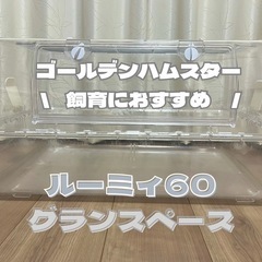 【中古】ルーミィ60グランスペース