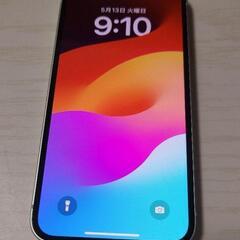 SIMフリー iPhone12mini グリーン 128GB A...