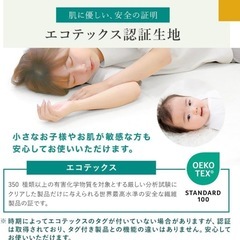 極厚10cm プロファイルマットレスグレーの画像