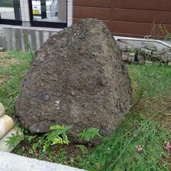 庭石2つ1000円あげますの画像