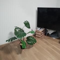 極美品　IKEA フェイクグリーン　モンステラ