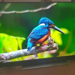 【4K】東芝 REGZA 50bm620X（2018年製）の画像
