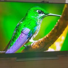 【4K】東芝 REGZA 50bm620X（2018年製）