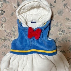 Disney ドナルドコスプレ
