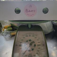 エンドウ豆