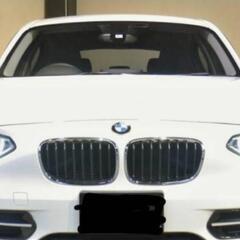 BMW 1シリーズ スポーツ アルピンホワイトの画像