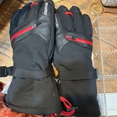 Cevapro スキーグローブ