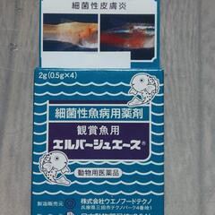 No.1❗新品未使用❗鑑賞魚用❗エルバージュエース❗2g❗