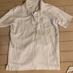 140センチポロシャツ