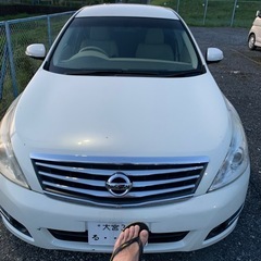 NISSAN ティアナ