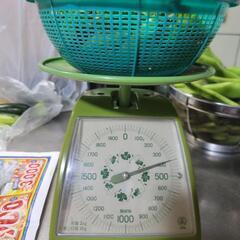 エンドウ豆(小)