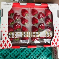 全国いちご選手権金賞🥇あまりんSALE価格🍓
