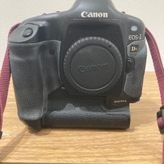 一眼レフカメラCanon EOS-1DS【ジャンク】の画像