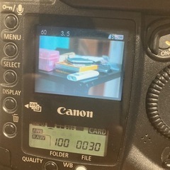 一眼レフカメラCanon EOS-1DS【ジャンク】の画像