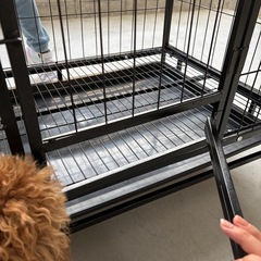 犬用ケージの画像