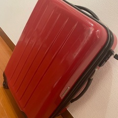 確定済スーツケース