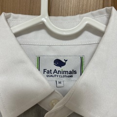 【新品未使用】半袖シャツ　Mサイズの画像