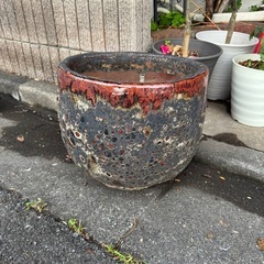 【差し上げます】アビスラブカボウル 植木鉢