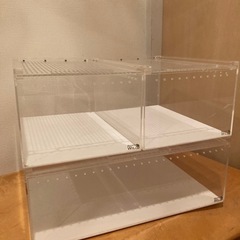 REPTI WILD レプタイルボックス 2個　ワイド　1個 レプタイルボックス SANKO Repti Wild アクリルケース 販売 通販