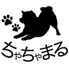 ちゃちゃまる　男女混合革バレー