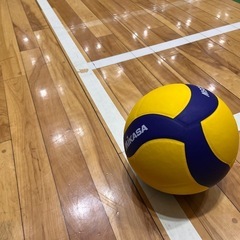バレー募集 港北スポーツセンター
