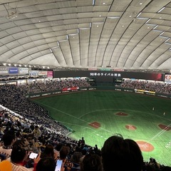 阪神タイガースを東京近辺でゆるーく応援する会