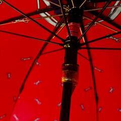 折りたたみ雨傘の画像