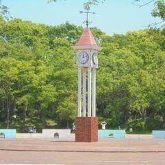 ゴーゴーフリマ　大泉緑地フリマ開催　2025年6月28日