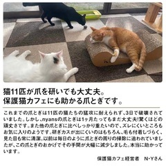 美品　とぎカスがでない 長持ち　 1年高耐久 ・ 純日本製 】 nyansの爪とぎ [ 猫 爪研ぎ 超強化ダンボール ベッドとしても使える ] リラックス型 Mサイズ ニャンズ  保護猫　猫カフェ　キャット　爪研ぎ　nyans 多頭飼いの画像