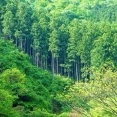 残土引き取り致します。
