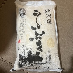 お米　こしいぶき