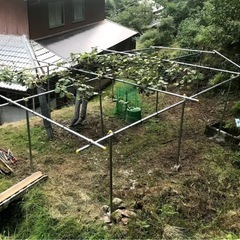 単管パイプ、ハウス用パイプ譲ってもらいたいです。