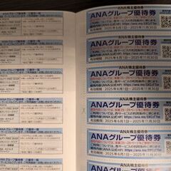 ANA 株主優待　国内線搭乗優待1枚＋グループ優待券の冊子1冊の画像