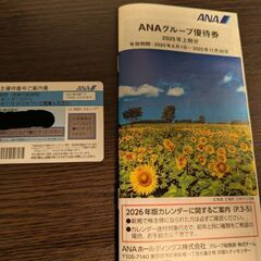 ANA 株主優待　国内線搭乗優待1枚＋グループ優待券の冊子1冊の画像