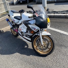 埼玉　草加市　バイク仲間