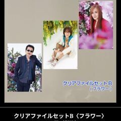 TheAlfee クリアファイルセットB(フラワー)の画像