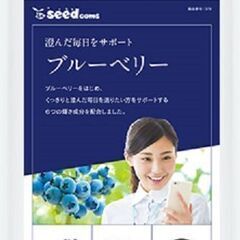 視力回復サプリメント「ブルーベリー」ビタミン各種ポリフェノール配合の画像