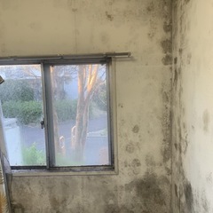 クロスのカビ取りします！板橋区・練馬区・和光市 - 手伝いたい/助けたい