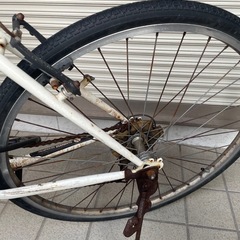 自転車【決定】の画像