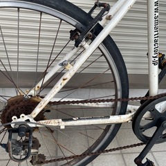自転車【決定】の画像