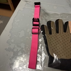 ペット用品4点セット グローブブラシ ネッククーラー ブラッシング手袋/中型犬首輪の画像
