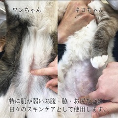 エアコンの季節に🐶😺ペットスキンケアクリームの画像