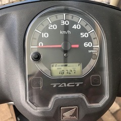 ホンダタクトAF79の画像