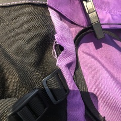 ジャックウルフスキン　バックパック　リュック　グレゴリーパタゴニア 好きな方にも の画像