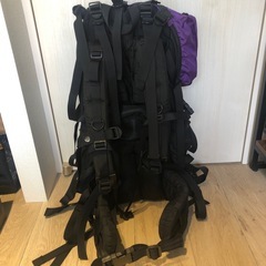 ジャックウルフスキン　バックパック　リュック　グレゴリーパタゴニア 好きな方にも の画像