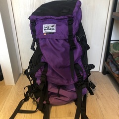 ジャックウルフスキン　バックパック　リュック　グレゴリーパタゴニ...